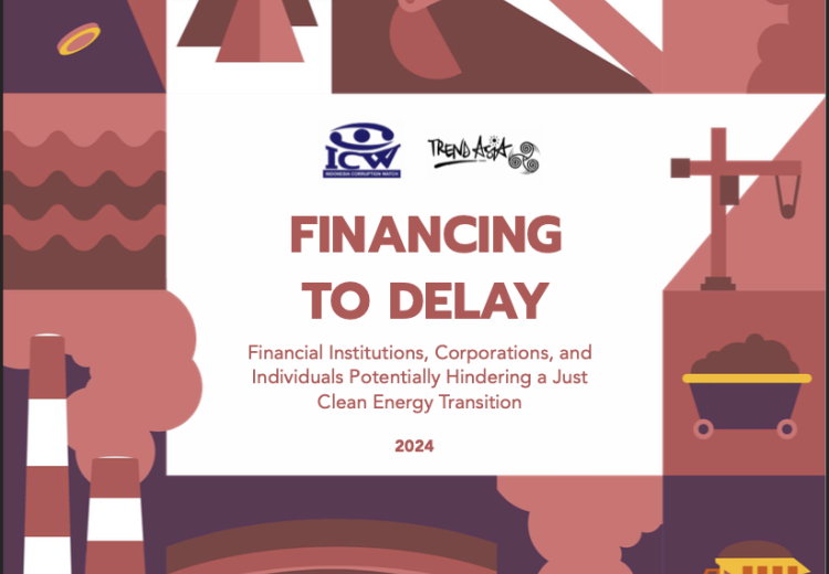 Front design of the report "Financing to Delay"