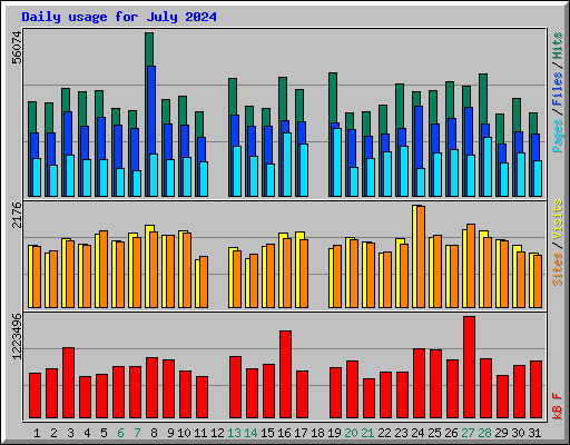 Daily usage for July 2024