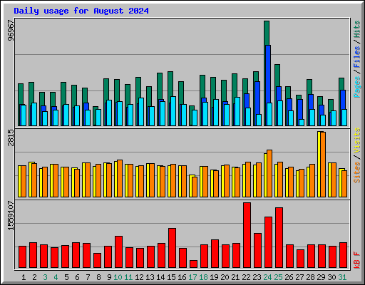 Daily usage for August 2024