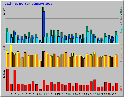 Daily usage for January 2025