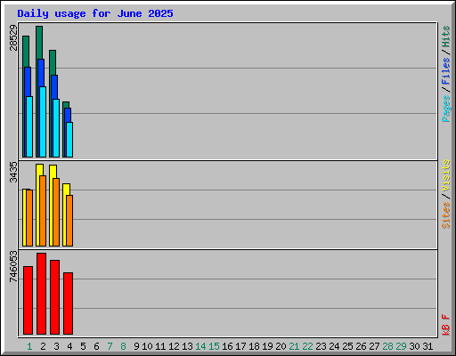 Daily usage for June 2025