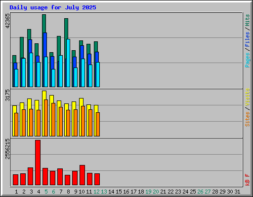 Daily usage for July 2025