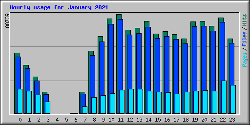 Hourly usage for January 2021