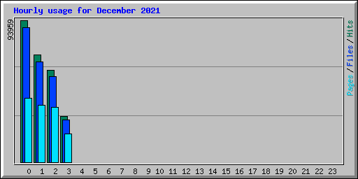 Hourly usage for December 2021
