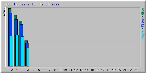 Hourly usage for March 2022