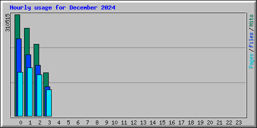 Hourly usage for December 2024