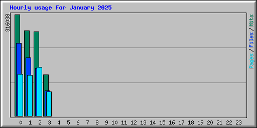 Hourly usage for January 2025