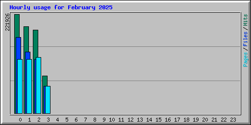 Hourly usage for February 2025