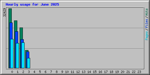 Hourly usage for June 2025